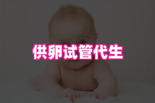 潍坊助孕网 4